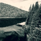 10959583_10153122897739708_8079541037740915312_n