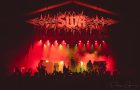SWR Barroselas 2026: Four Days of Chaos, Cult Legends and Total Devotion